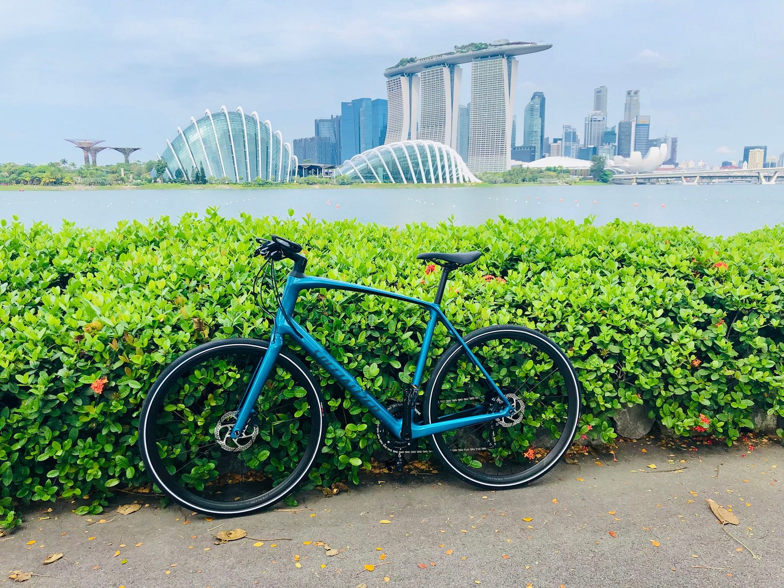 My bicycle was stolen in Singapore 🚲