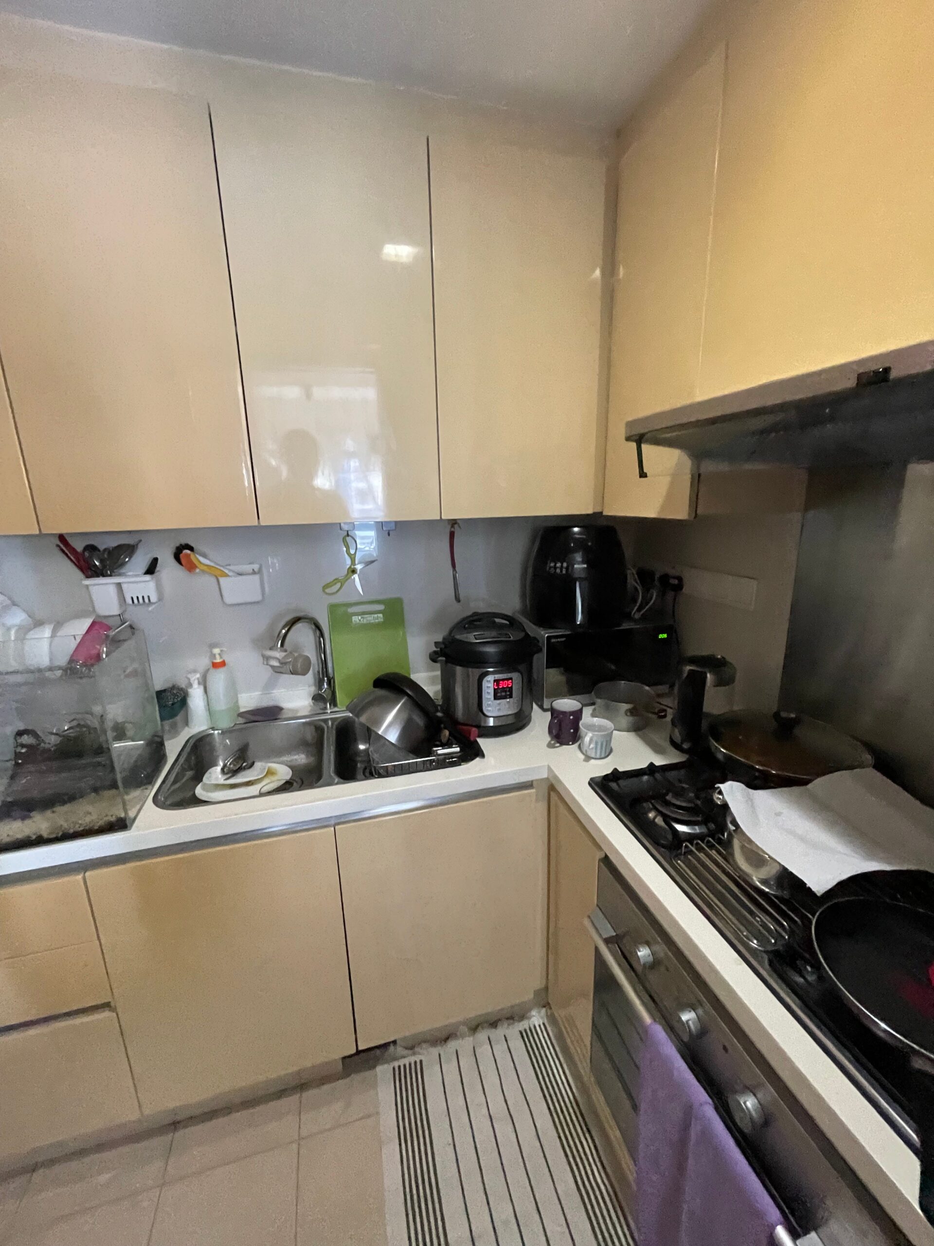 Compact apartment kitchen