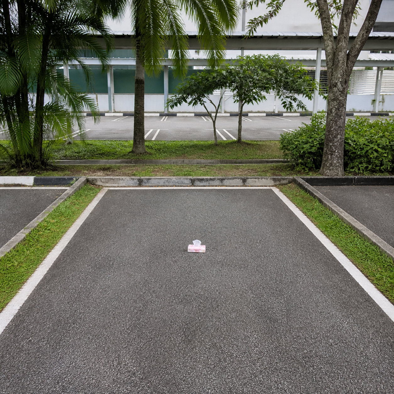 Tissue packet placed in the centre of an empty parking space
