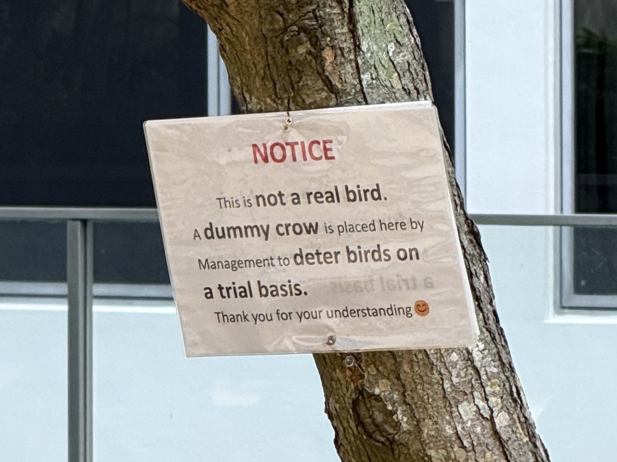 Close-up of a notice explaining that the dummy crow is not a real bird and is being tested as a deterrent.