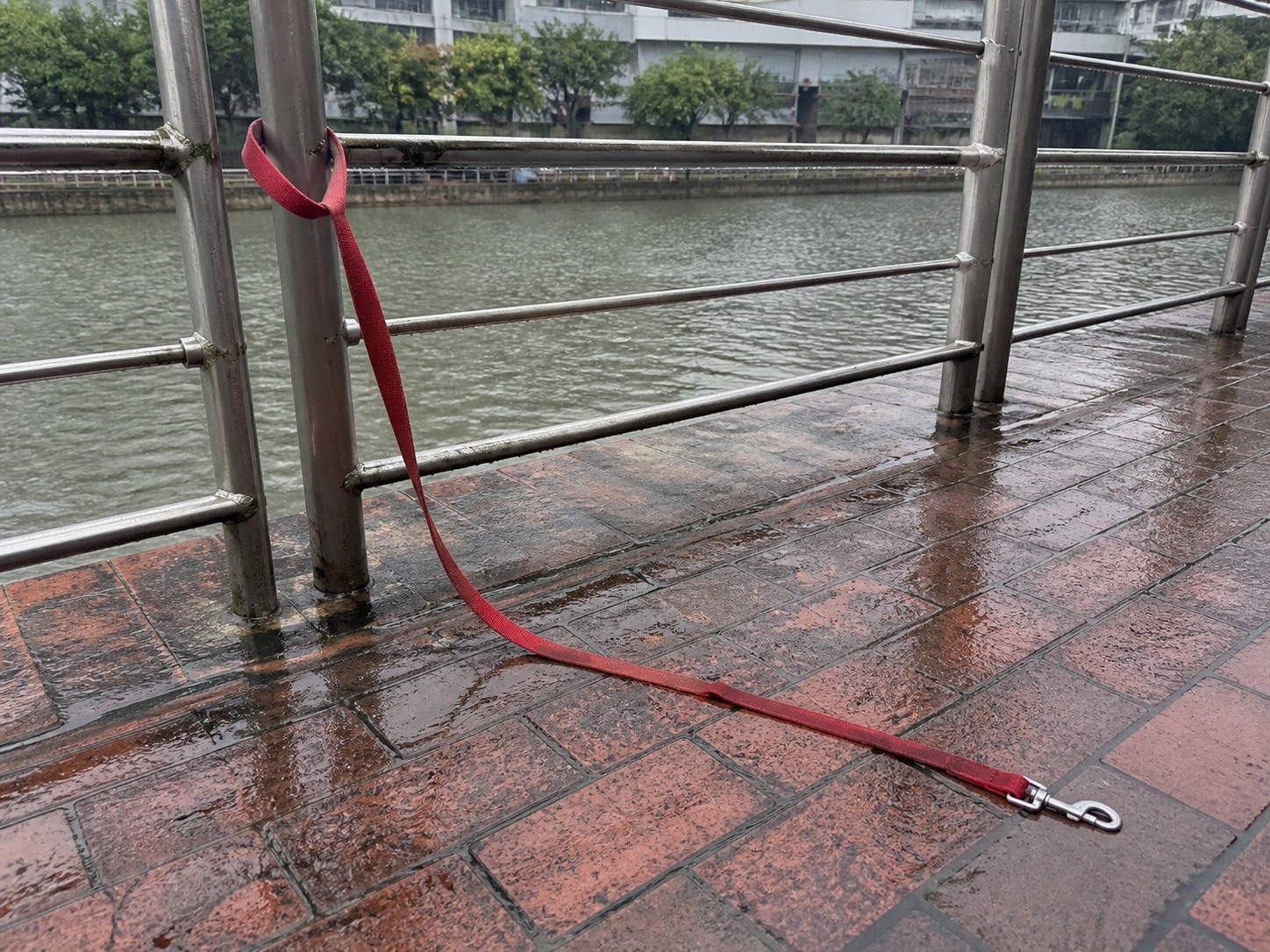 One intact red dog leash beside the railing at Robertson Quay