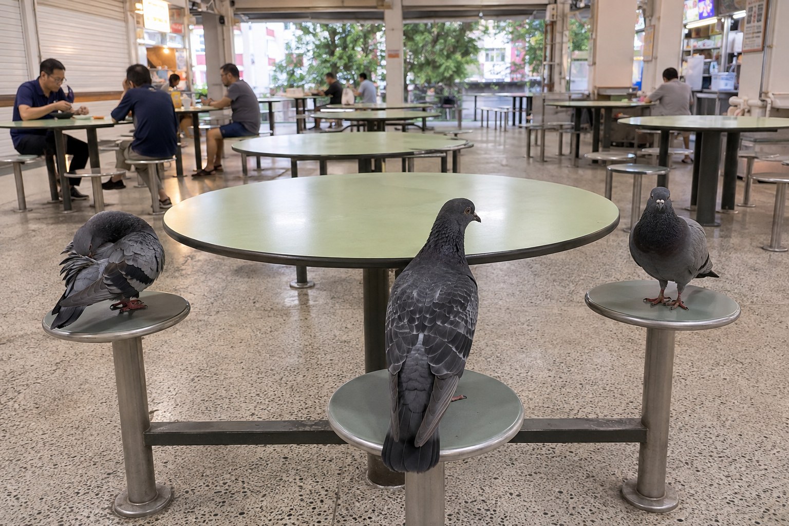 Three pigeons on stools around an empty hawker-centre table.
